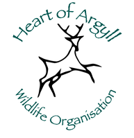 Heart of Argyll Wildlife Organisation